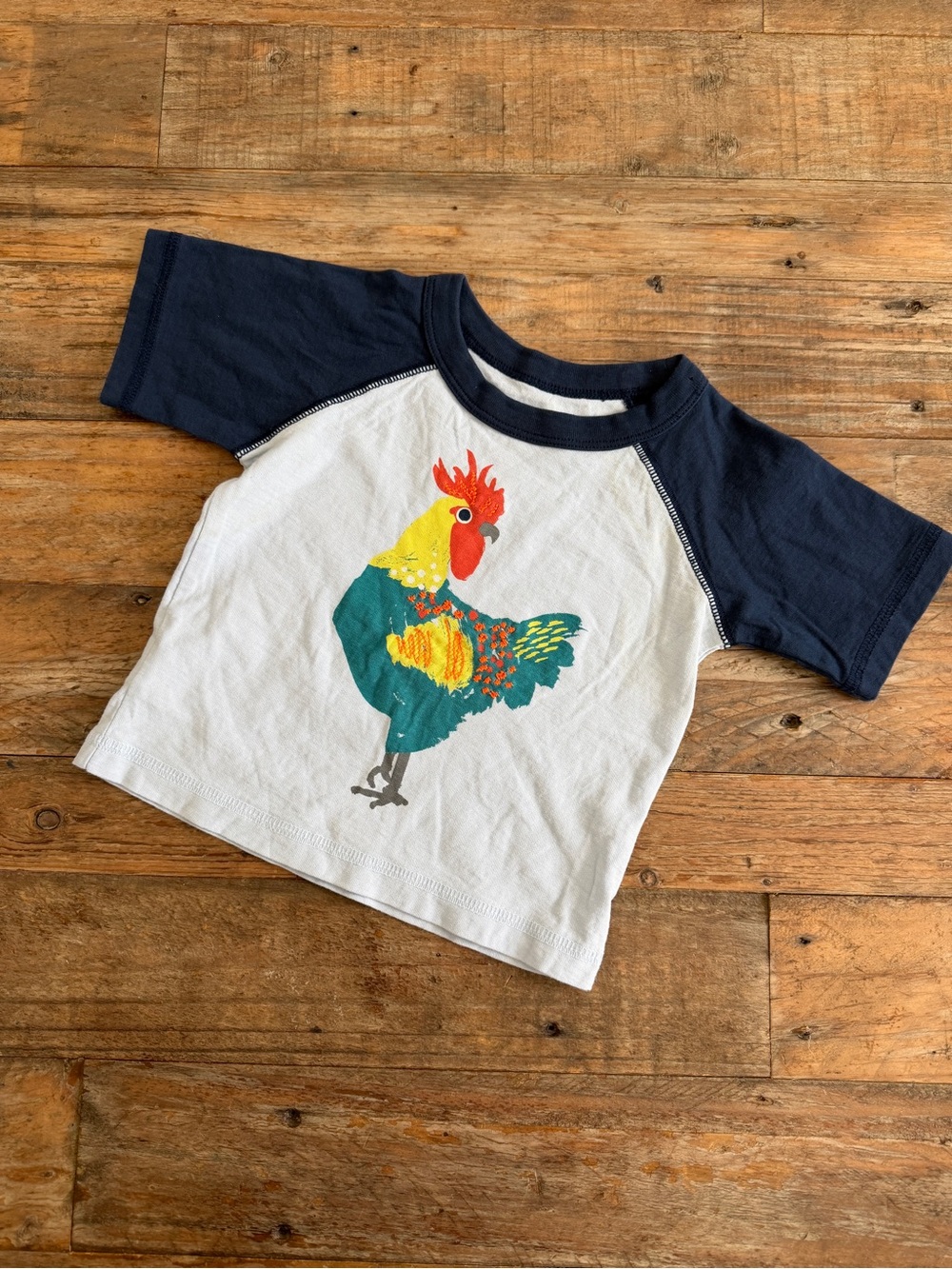 Tea Navy & White Raglan Tee with Colorful Rooster